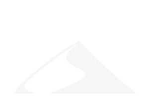logo_dunasoft